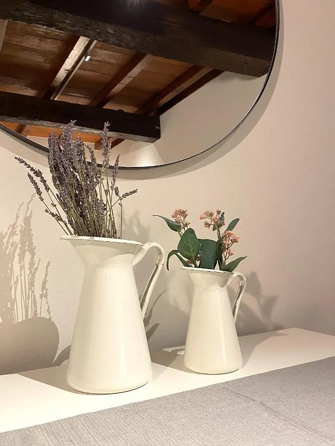 Violino Green Cremona